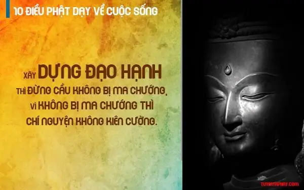 10 Điều Đức Phật Dạy