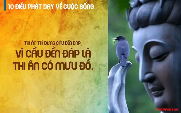 10 Điều Khuyên Của Phật