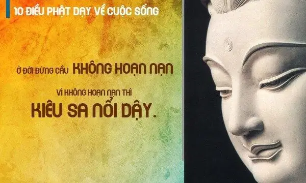 10 Điều Phật Dạy Về Cuộc Sống