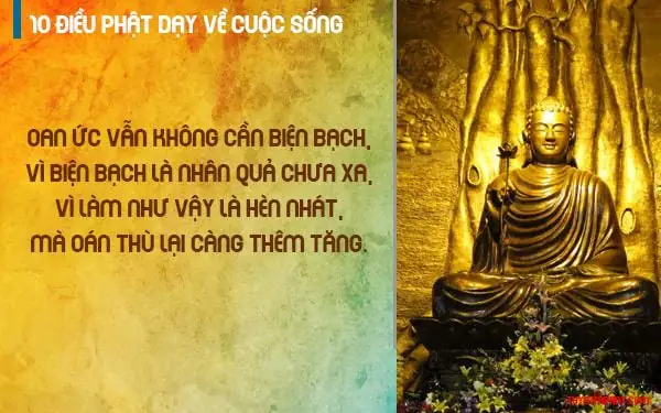 10 Điều Phật Dạy Về Cuộc Sống