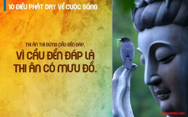 10 Điều Phật Dạy Về Cuộc Sống