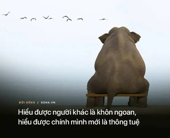Những Bài Học Được Đúc Kết Ngắn Gọn Từ Những Lời Răn Dạy Dễ Hiểu Và Sâu Sắc Của Đức Phật Hẳn Sẽ Giúp Ích Cho Bạn Trong Cuộc Sống Đầy Biến Động Và Thử Thách Này.