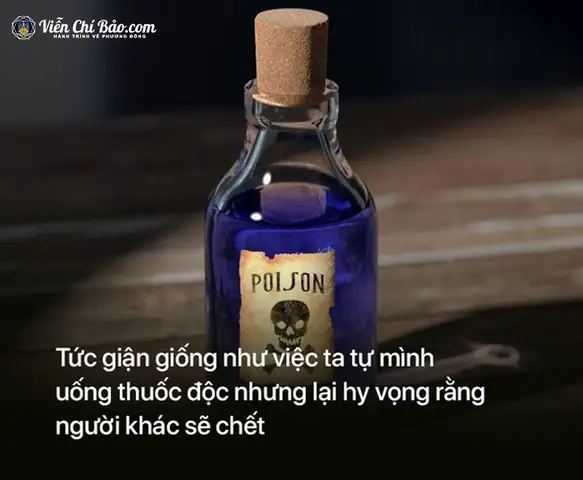 Äiá»u 7: Äá»«ng Tá»©c Giáº­n, Hã£y Biáº¿t Tha Thá»© Cho Ngæ°á»i Khã¡c