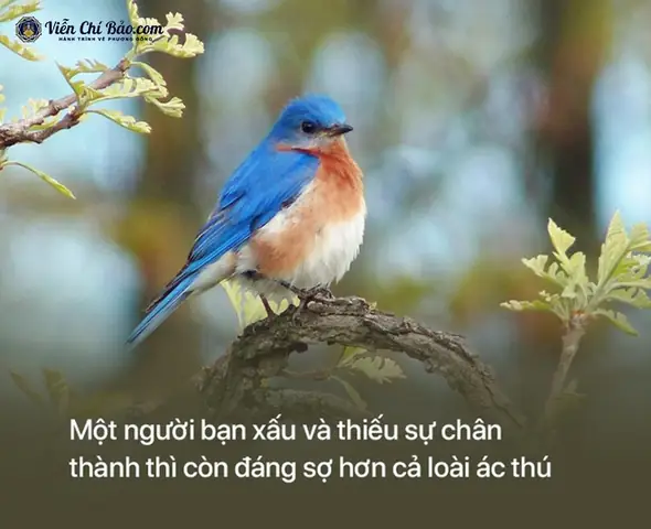 Äiá»u 8: Hã£y Chá»n Báº¡n Mã Chæ¡i