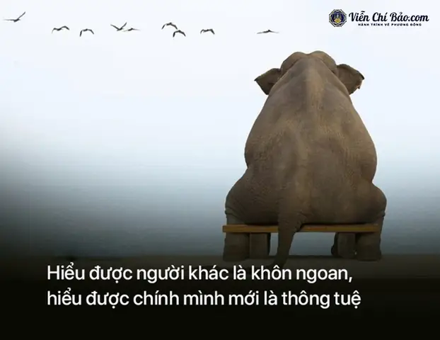 Äiá»u 3: Hiá»u Äæ°á»£c Ngæ°á»i Khã¡c Lã Khã´n Ngoan, Hiá»u Äæ°á»£c Chã­nh Mã¬nh Má»i Lã Thã´ng Tuá»