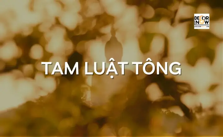 Tam Luật Tông