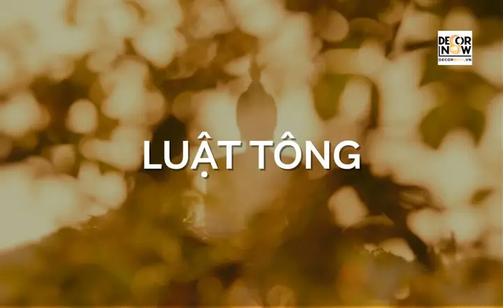 Luật Tông