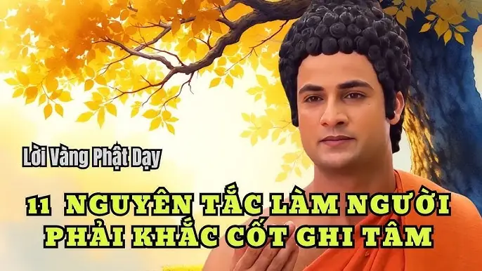 11 Lời Phật Dạy: Hành Trình Tìm Về An Lành