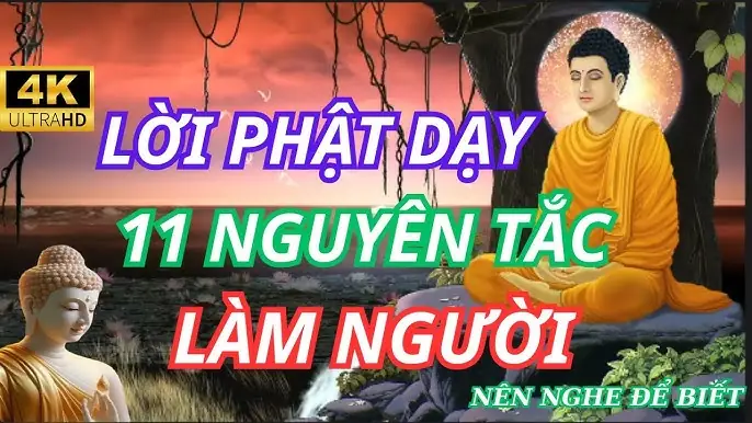 11 Lời Phật Dạy: Hành Trình Tìm Về An Lành