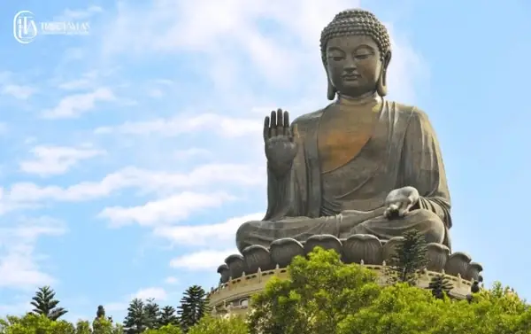 12 Nhân Duyên Trong Phật Giáo, Hiểu Rõ Để Tâm Nhẹ Lòng An