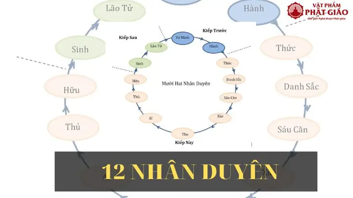 Nội Dung Và Ý Nghĩa Của 12 Nhân Duyên Trong Phật Giáo