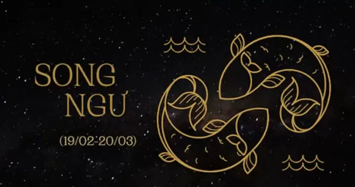 Tổng Hợp Những Thắc Mắc Thường Gặp Về Cung Song Ngư