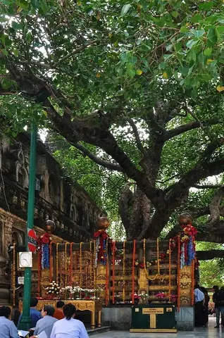 Bồ Đề Đạo Tràng, Nơi Đức Phật Thành Đạo