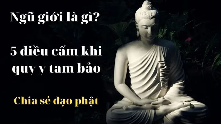 Ngũ Giới Trong Đạo Phật – 5 Điều Cấm Của Người Phật Tử - Tubahi ...