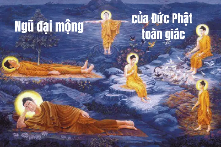 Giấc Mơ Về Sự Kiện Đản Sinh Của Đức Phật Toàn Giác