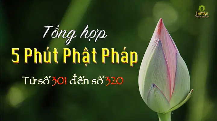 Phút Phật Pháp: Những Bài Học Ngắn Gọn Giúp Tâm An Yên Mỗi Ngày