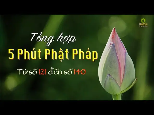 Phút Phật Pháp: Những Bài Học Ngắn Gọn Giúp Tâm An Yên Mỗi Ngày