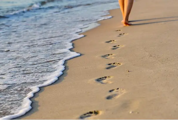 Điều Phật Dạy