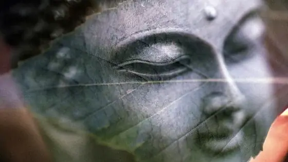 66 Câu Phật Học Để Sống An Lành Và Hạnh Phúc