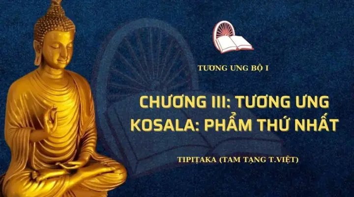Điều Phật Dạy Là Gì?
