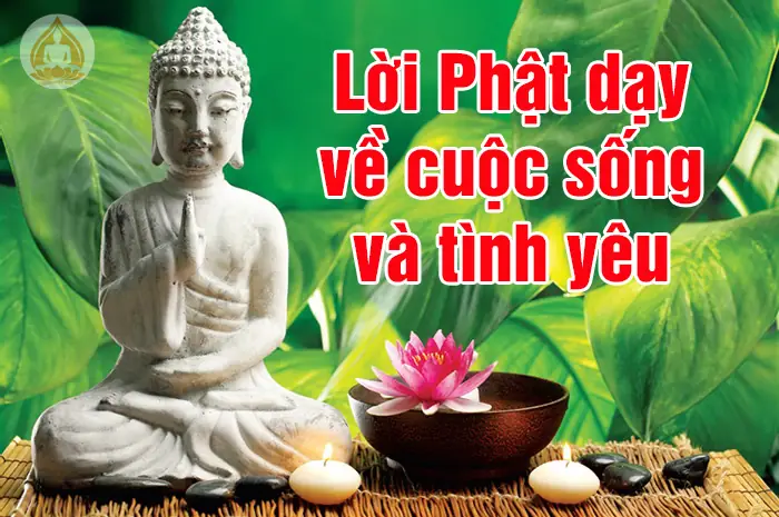 Điều Phật Dạy Là Gì?