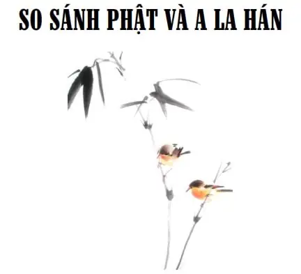 So Sánh Phật Và A La Hán