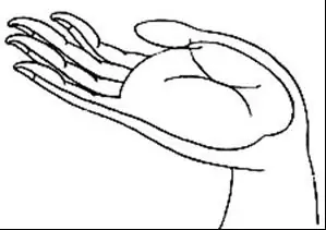 Ấn Quyết Trong Hình Tượng Phật Giáo