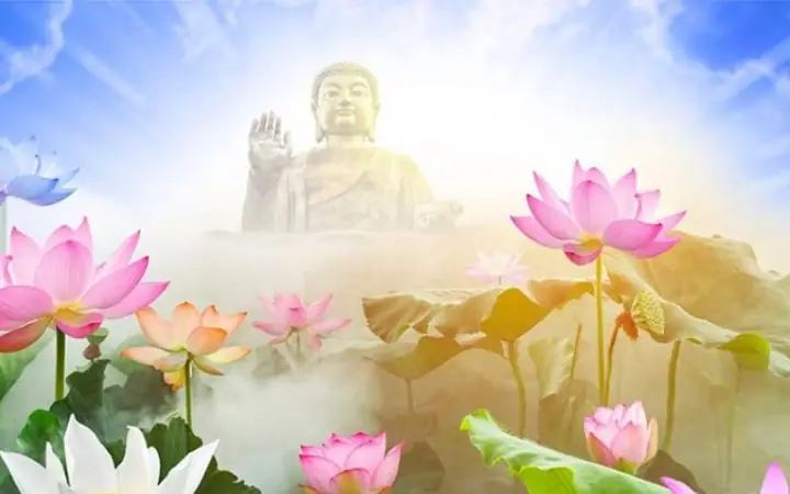 Tổng Hợp 100+ Mẫu Ảnh Bìa Đức Phật Đẹp, Ý Nghĩa Và Chuẩn Pháp