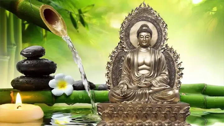 Hình Phật Làm Ảnh Bìa Được Sử Dụng Trong Trường Hợp Nào?