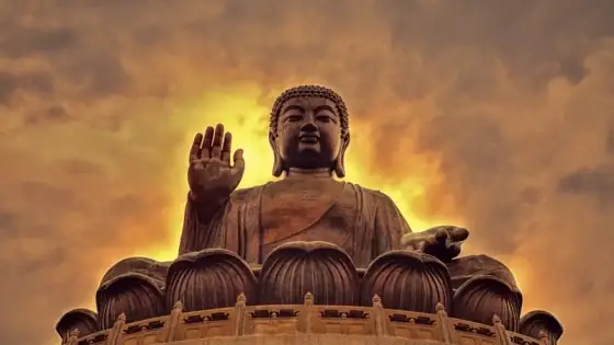 Hình Phật Làm Ảnh Bìa Được Sử Dụng Trong Trường Hợp Nào?