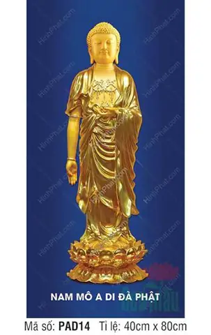 Hình Ảnh Cho Ảnh Nền Phật A Di Đà: