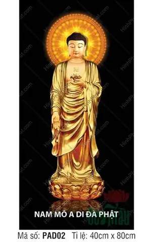 Hình Ảnh Cho Ảnh Nền Phật A Di Đà: