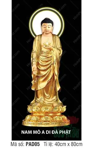 Hình Ảnh Cho Ảnh Nền Phật A Di Đà: