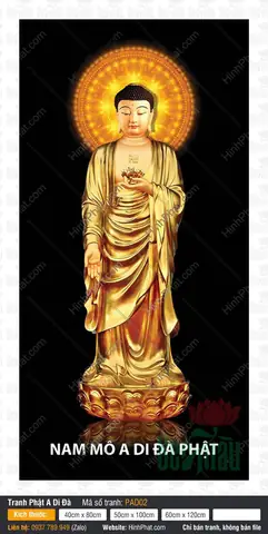 Hình Ảnh Cho Ảnh Nền Phật A Di Đà: