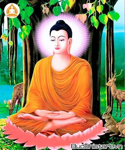 Hình Ảnh Cho Ảnh Nền Phật A Di Đà: