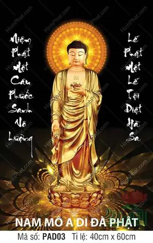 Hình Ảnh Cho Ảnh Nền Phật A Di Đà: