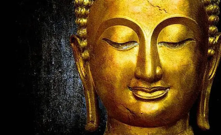 Sự Từ Bi Và Trí Tuệ Của Đức Phật