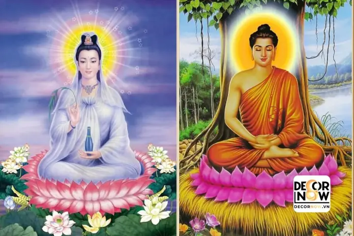 Ý Nghĩa Hình Ảnh Hoa Sen Phật Giáo