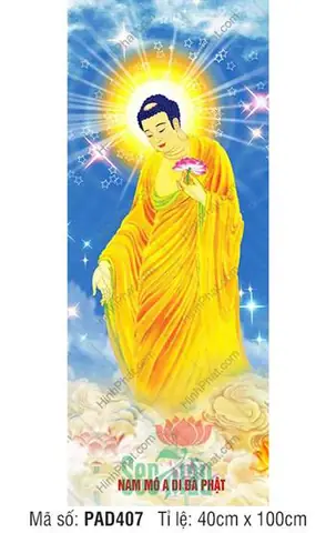 Hình Ảnh Cho Ảnh Nền Phật A Di Đà: