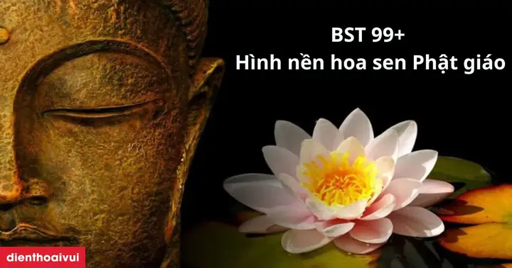 99+ Hình Nền Hoa Sen Phật Giáo Đẹp Nhất
