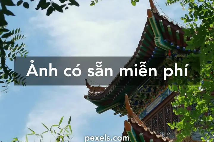 Tìm Kiếm Ảnh Nền Phật Giáo Đẹp, Miễn Phí Cho Điện Thoại Và Máy Tính Như Thế Nào?