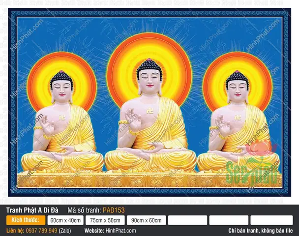 Hình Ảnh Cho Hình Ảnh Phật A Di Đà Tiếp Dẫn: