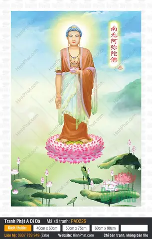 Hình Ảnh Cho Hình Ảnh Phật A Di Đà Tiếp Dẫn: