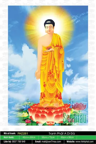 Hình Ảnh Cho Hình Ảnh Phật A Di Đà Tiếp Dẫn: