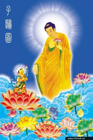 Hình Ảnh Cho Hình Ảnh Phật A Di Đà Tiếp Dẫn: