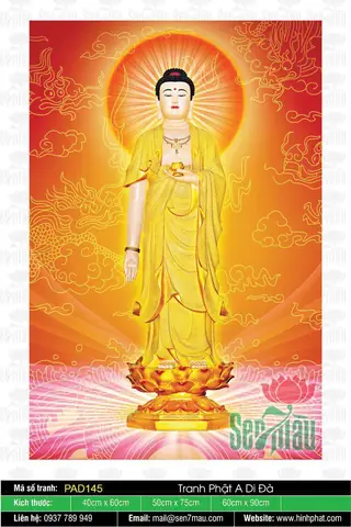 Hình Ảnh Cho Hình Ảnh Phật A Di Đà Tiếp Dẫn:
