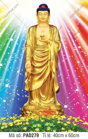 Hình Ảnh Cho Hình Ảnh Phật A Di Đà Tiếp Dẫn: