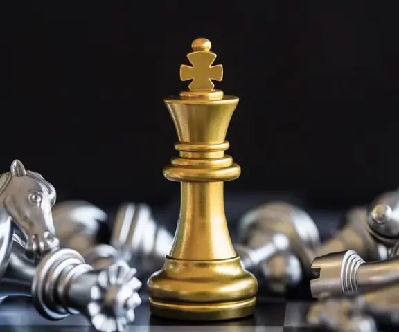 Bộ Sưu Tập Hoa Sen Đen Trắng - Mondial Agency