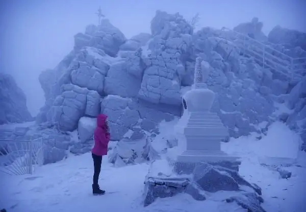 Ảnh Phật Hoạt Hình