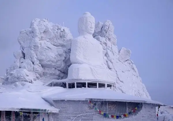 Ảnh Phật Hoạt Hình